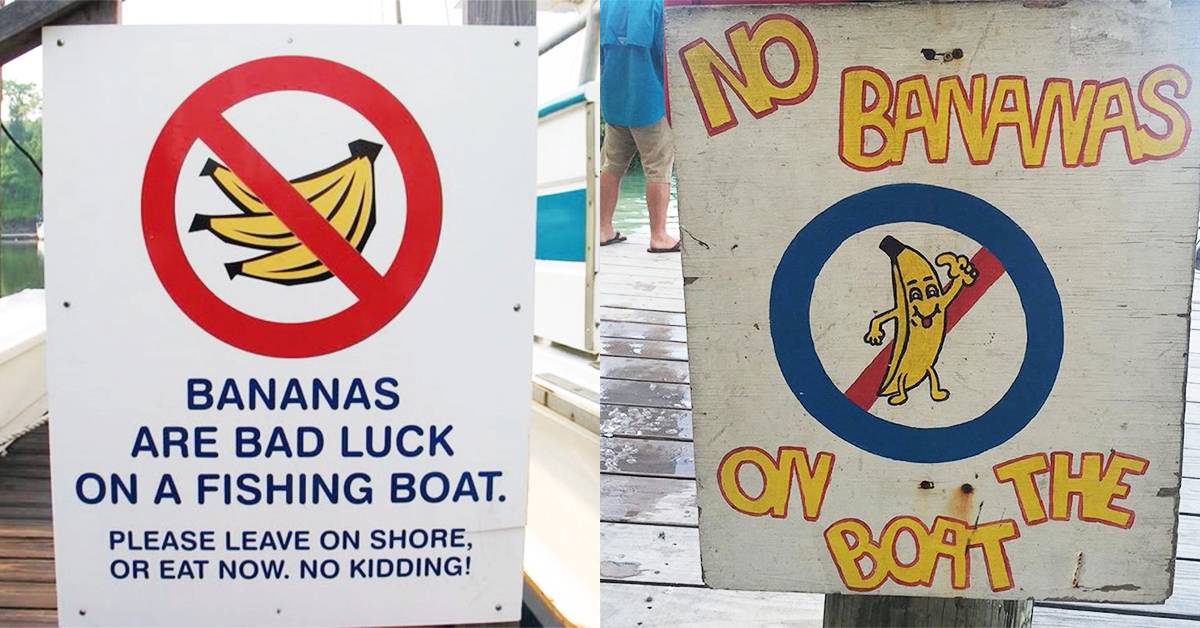 why bananas are banned from fishing boats 🍌⛵