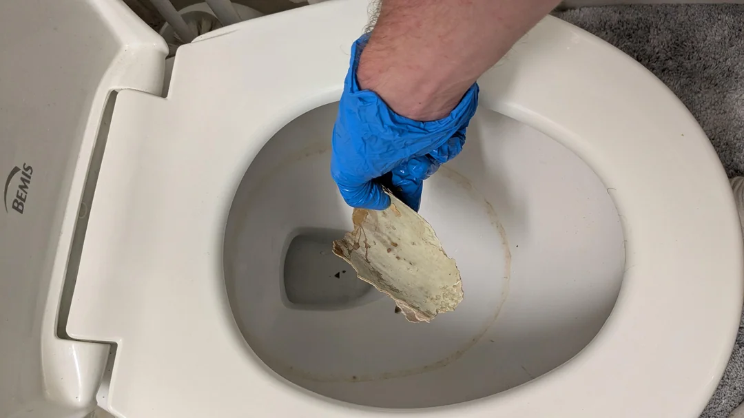 What's THIS doing in the toilet 🚽⁉️
