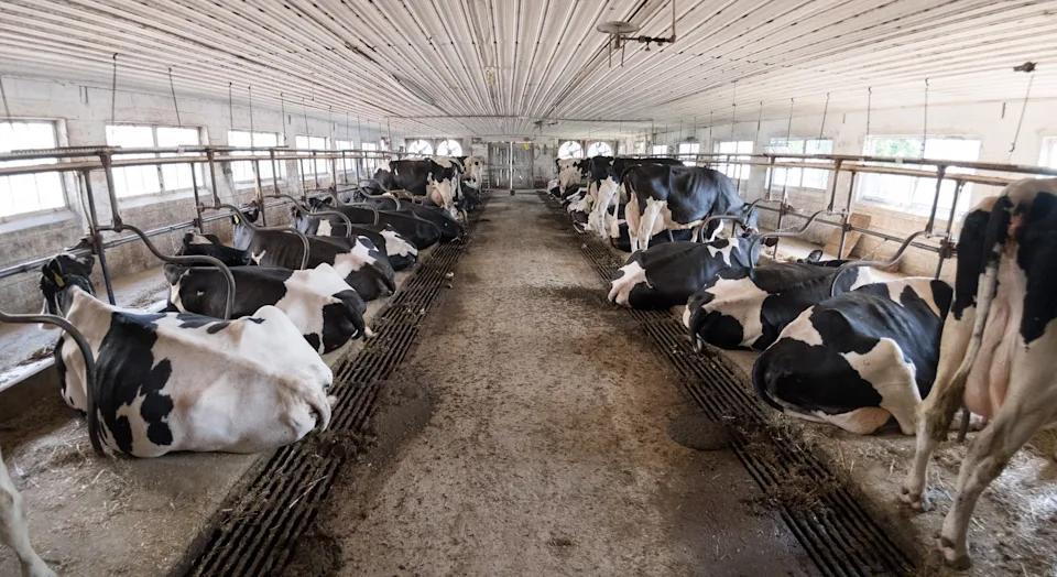 Would You Still Buy Fairlife Milk?