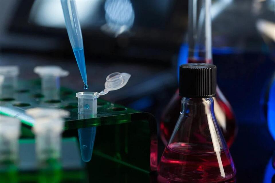 Biotech Stocks: Risky, But Worth a Peek?