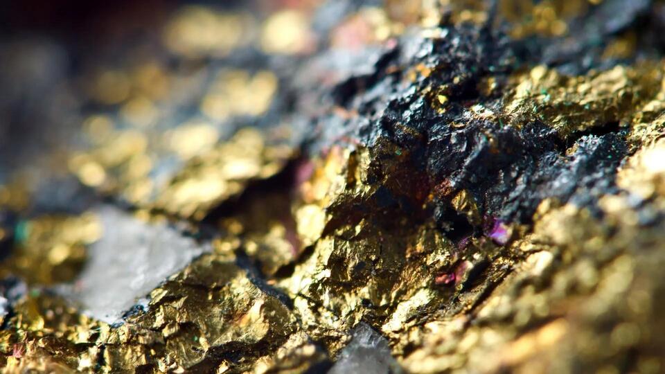 Turning Trash Into Gold? For Real!