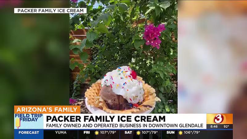 Phoenix’s Hidden Ice Cream Gems 🍦