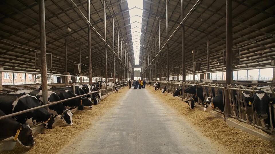 Solar Panels Turn Farm Bills Into Zeroes