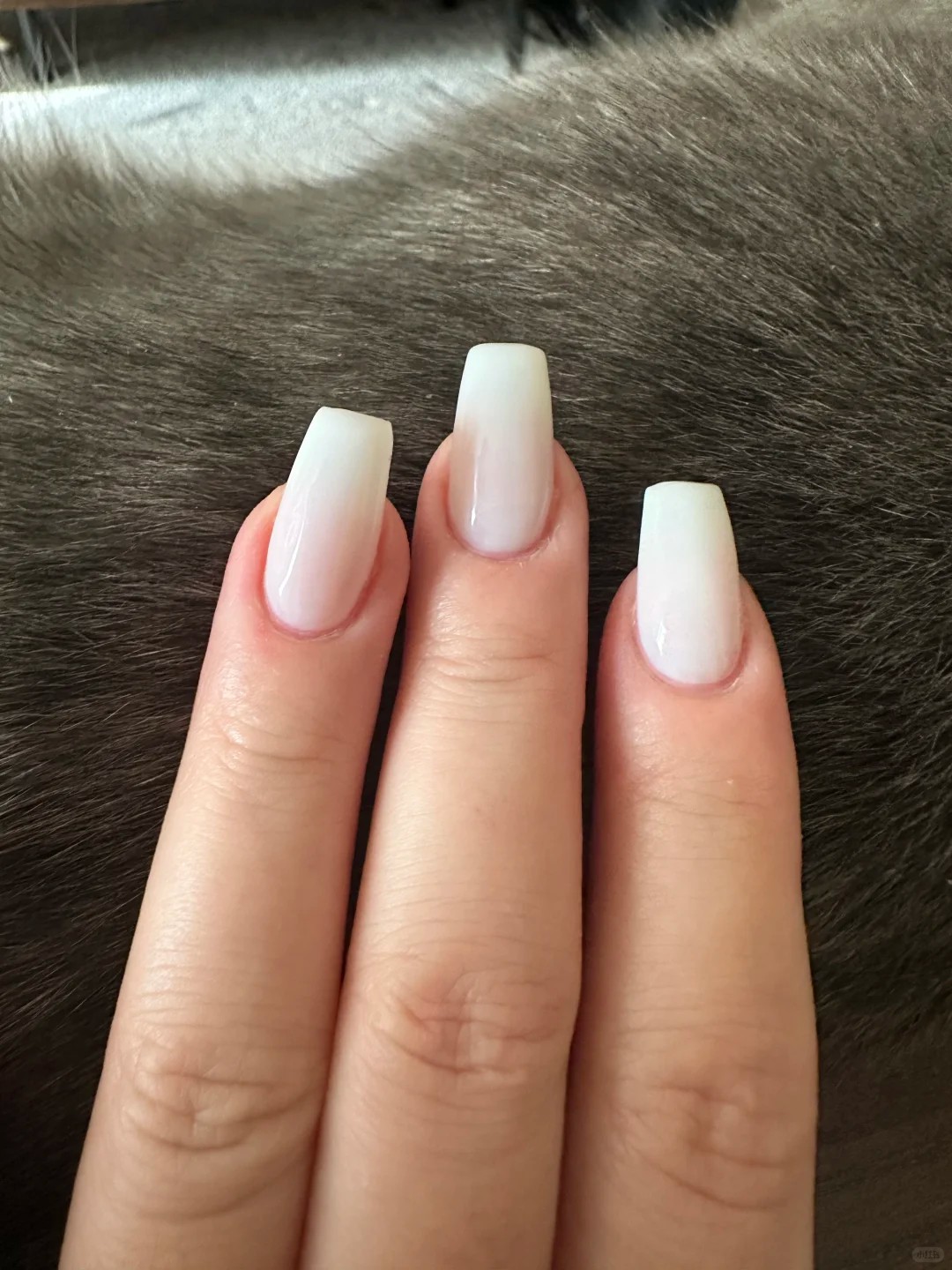 I finallt rounded up the prices of these manicures. 
