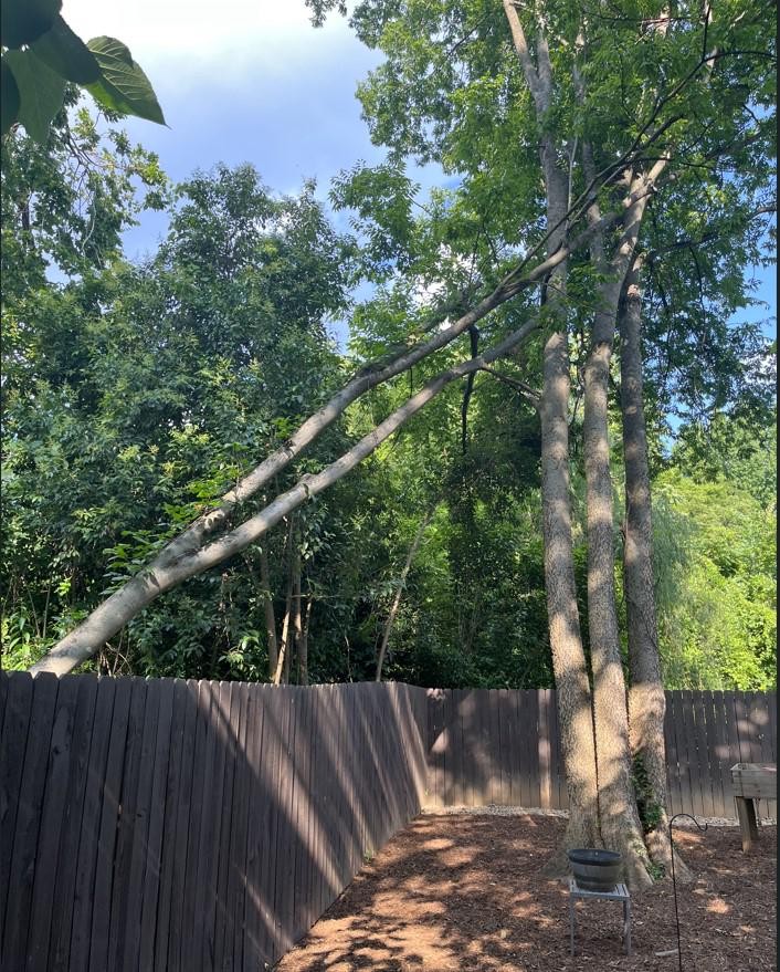 My Neighbor's Tree is a Catastrophic Ticking Time Bomb Leaning on My House. What can I do? 