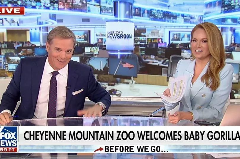 Awkward vibes on Fox News set? 👀
