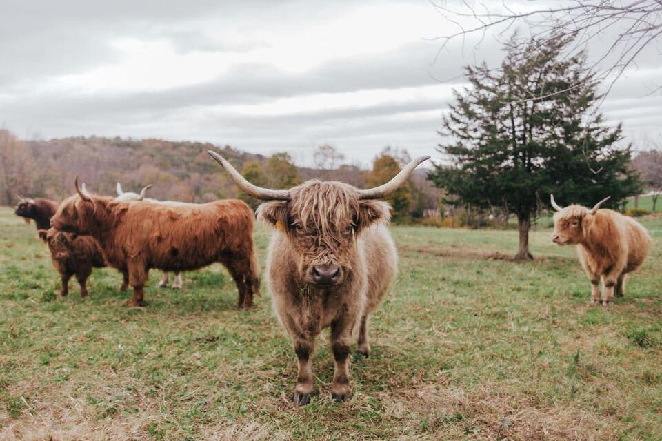 Secret Farm Dinners Worth the Drive