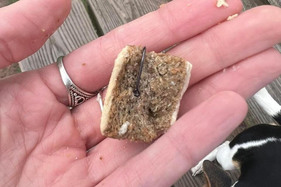 Dog Walkers: Watch Out for Laced Treats!