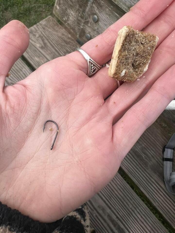 Dog Walkers: Watch Out for Laced Treats!