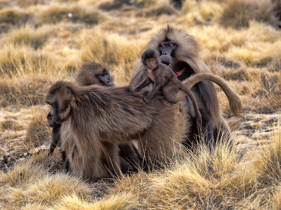 South Africa Family Travel Hacks You Need