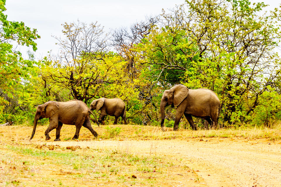 South Africa Family Travel Hacks You Need