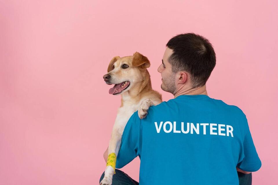 NYC Animal Shelters Hit Breaking Point