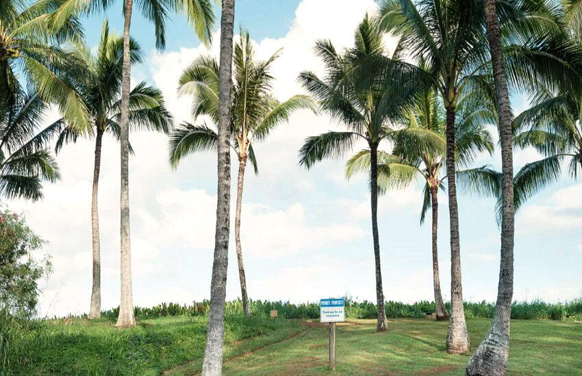 Zuck’s Kauai Land Grab: Paradise or Problem?