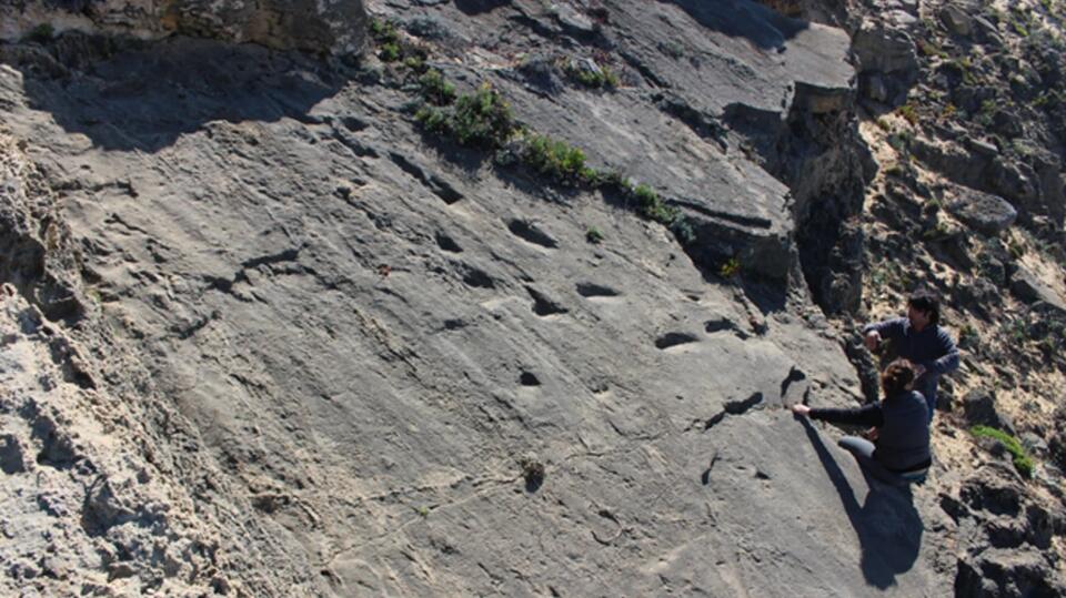 Neanderthal Family Footprints Found!