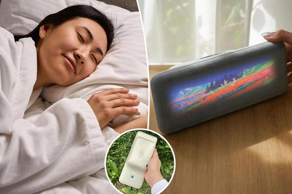 Would You Replay Your Dreams?