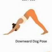 Downward-Dog Drama! Which style are you rocking?