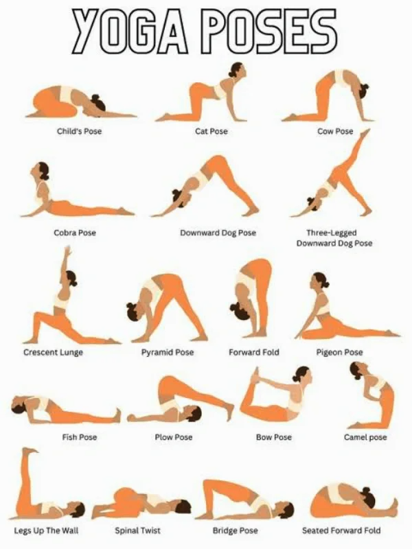 Quick Guide to the Poses in Your File Pt. 1