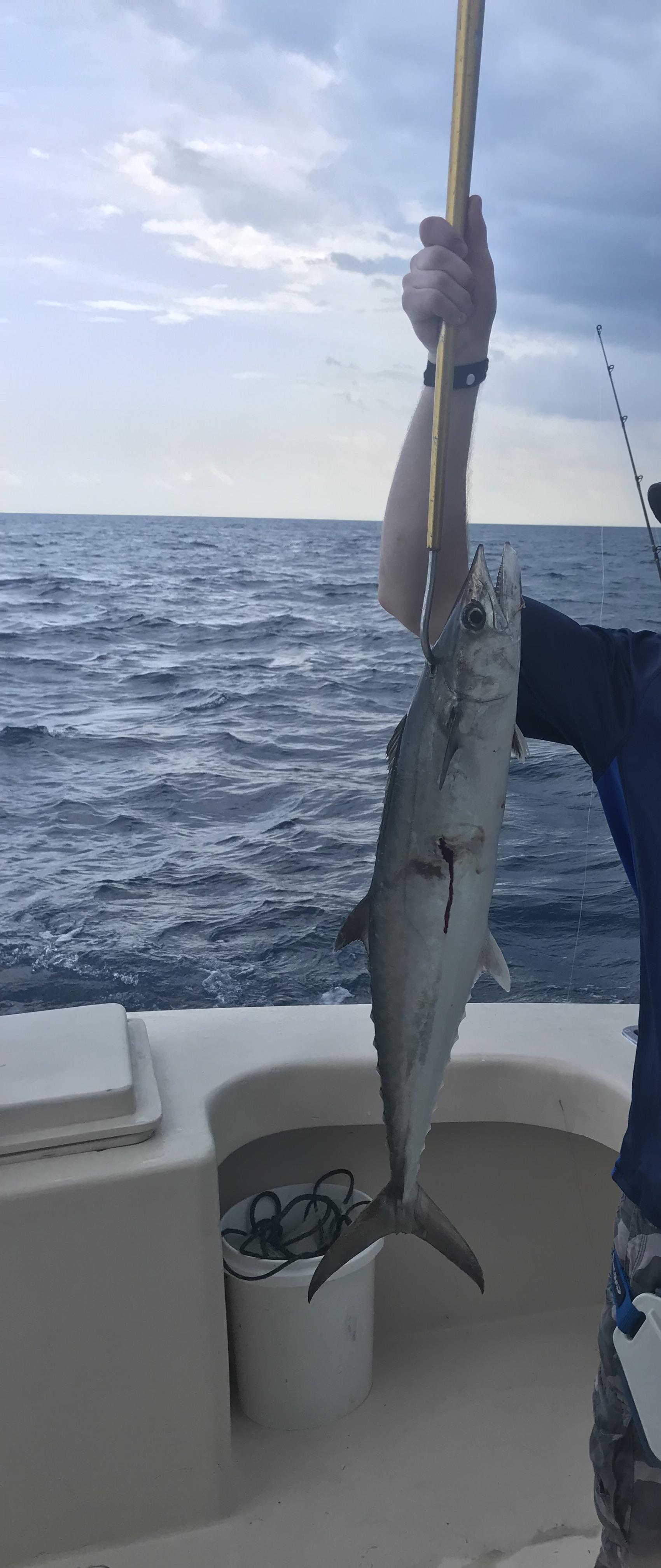 we all lie about our fishing stories, right? 🤥