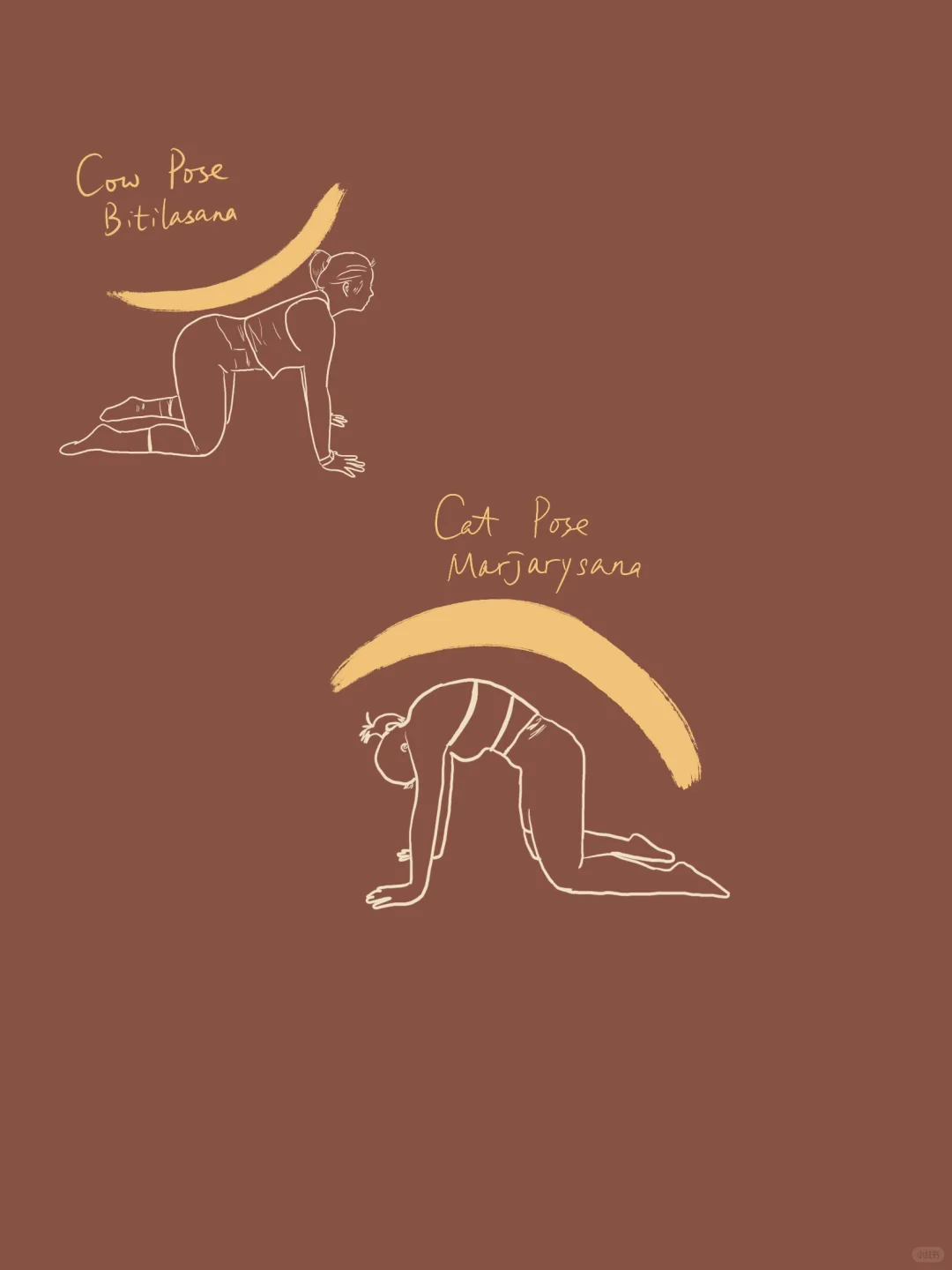 Best Yoga Warm-Up Pose—Which One’s Your Favorite?  