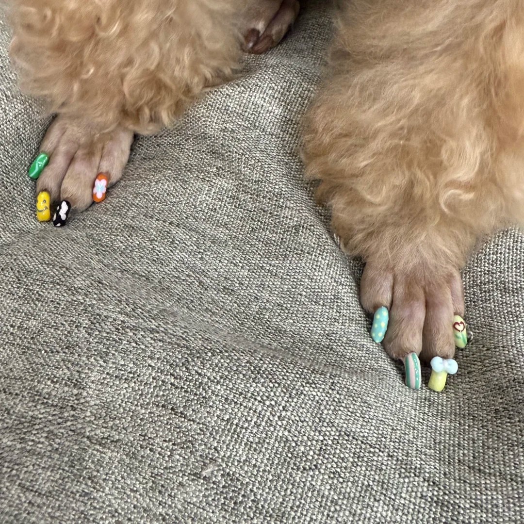 Is giving my pup a mani-pedi really that niche? 