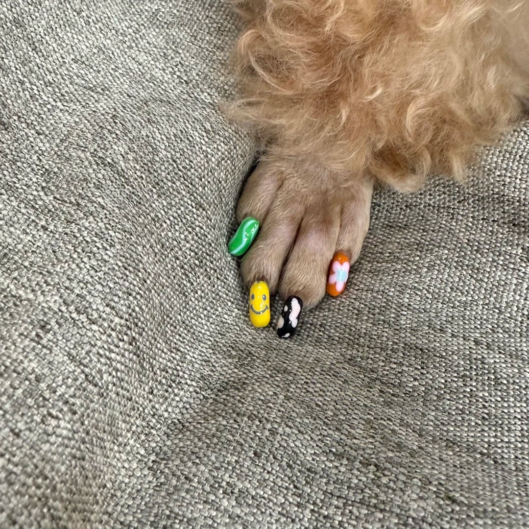 Is giving my pup a mani-pedi really that niche? 