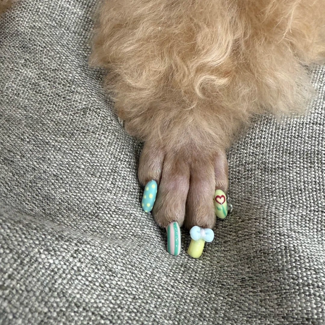 Is giving my pup a mani-pedi really that niche? 