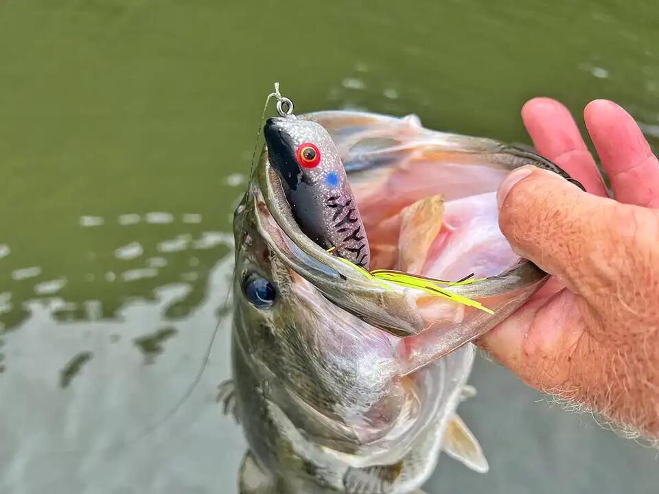 Why Topwater Baits Are Pure Fishing Magic