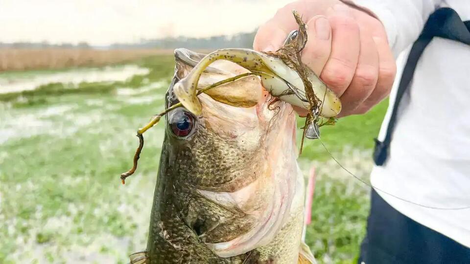 Why Topwater Baits Are Pure Fishing Magic