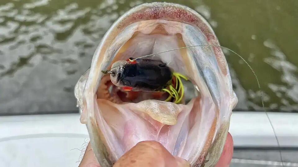 Why Topwater Baits Are Pure Fishing Magic