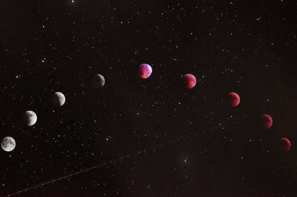 What the Leo New Moon Means for Your Sign