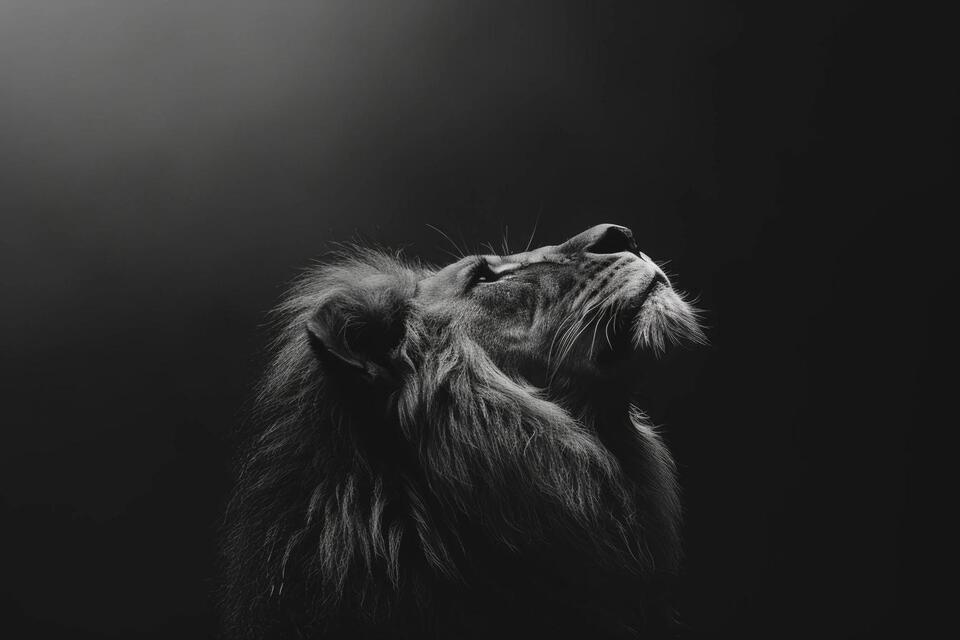 Leo New Moon: Time to Stir Things Up