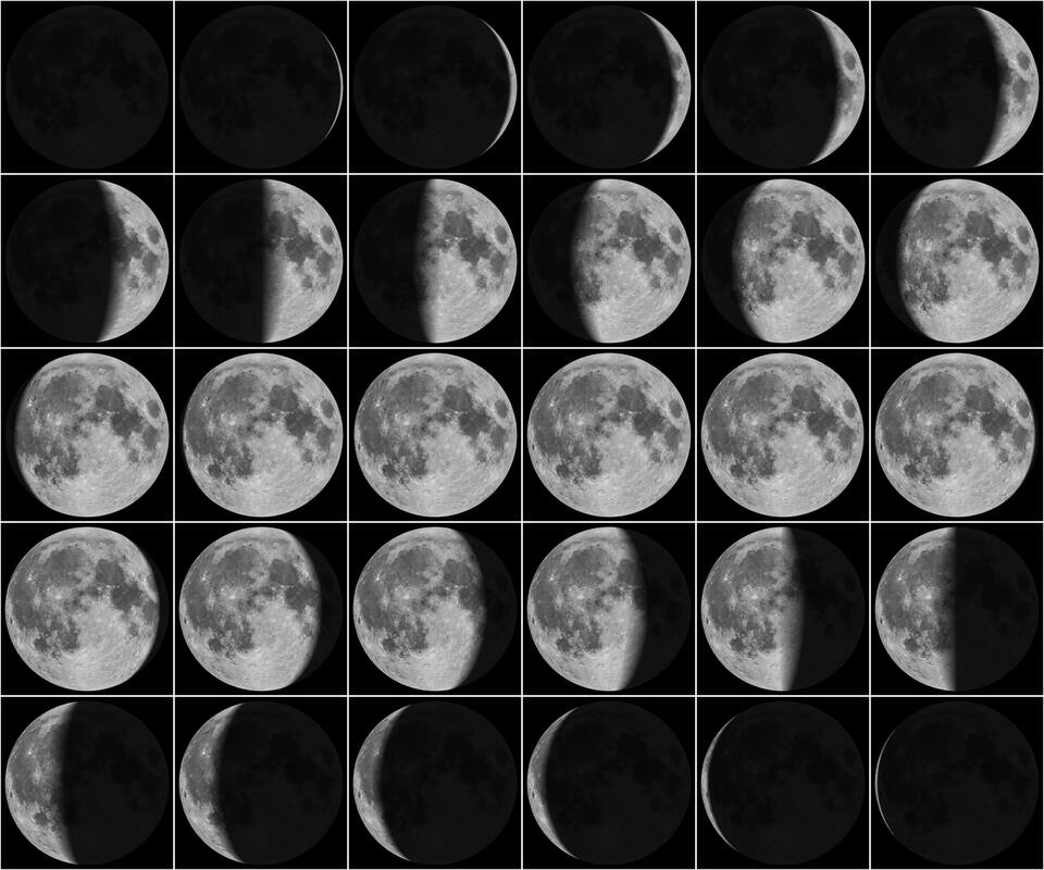 Leo New Moon: Time to Stir Things Up