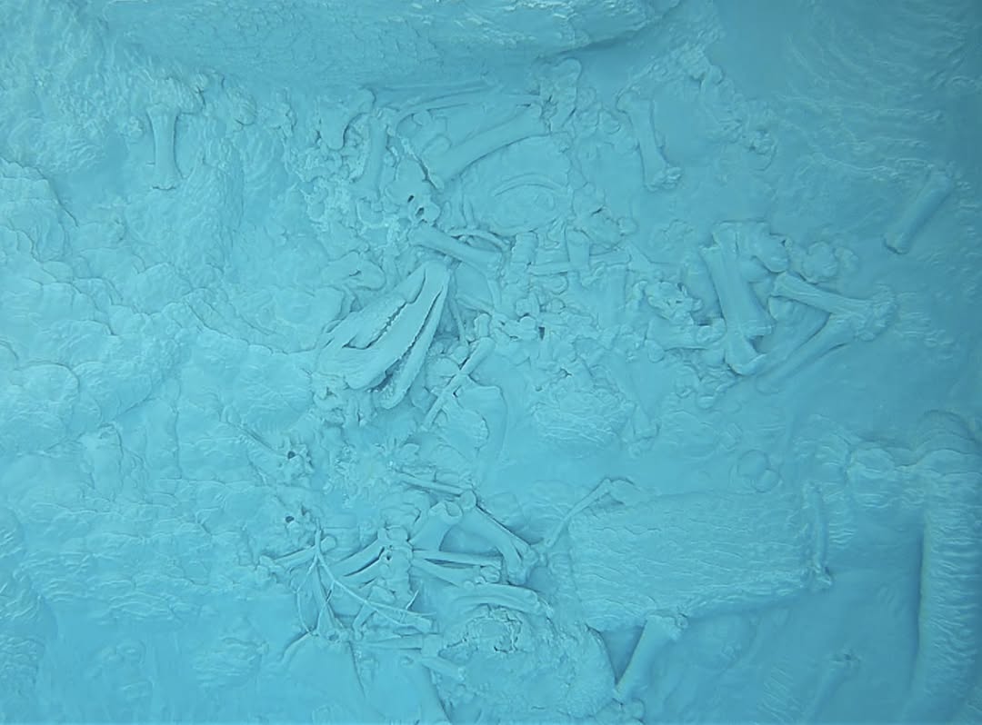 Yellowstone’s Got a Brand New Blue Hole?!