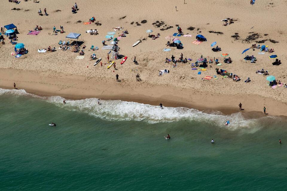 Giant Great White Spotted Near Nantucket!