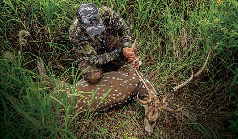 Does anyone here actually save money by hunting?