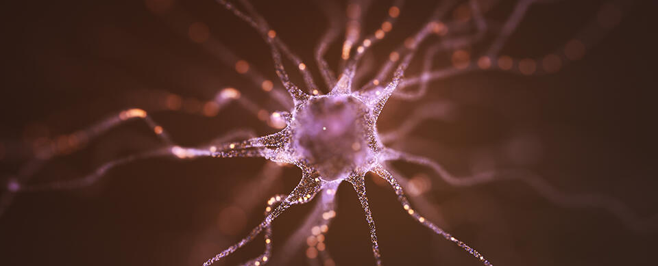 Tiny Magnets Could Rewire Brains!