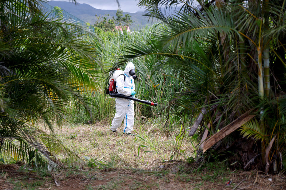 Mosquito Virus on the Move—Should We Worry?