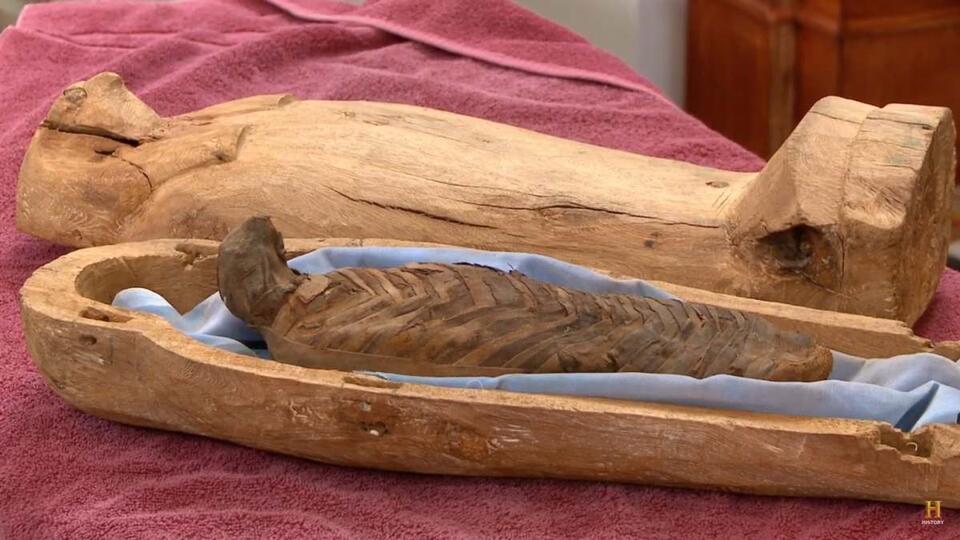 A Mummified Falcon Worth $12K?!