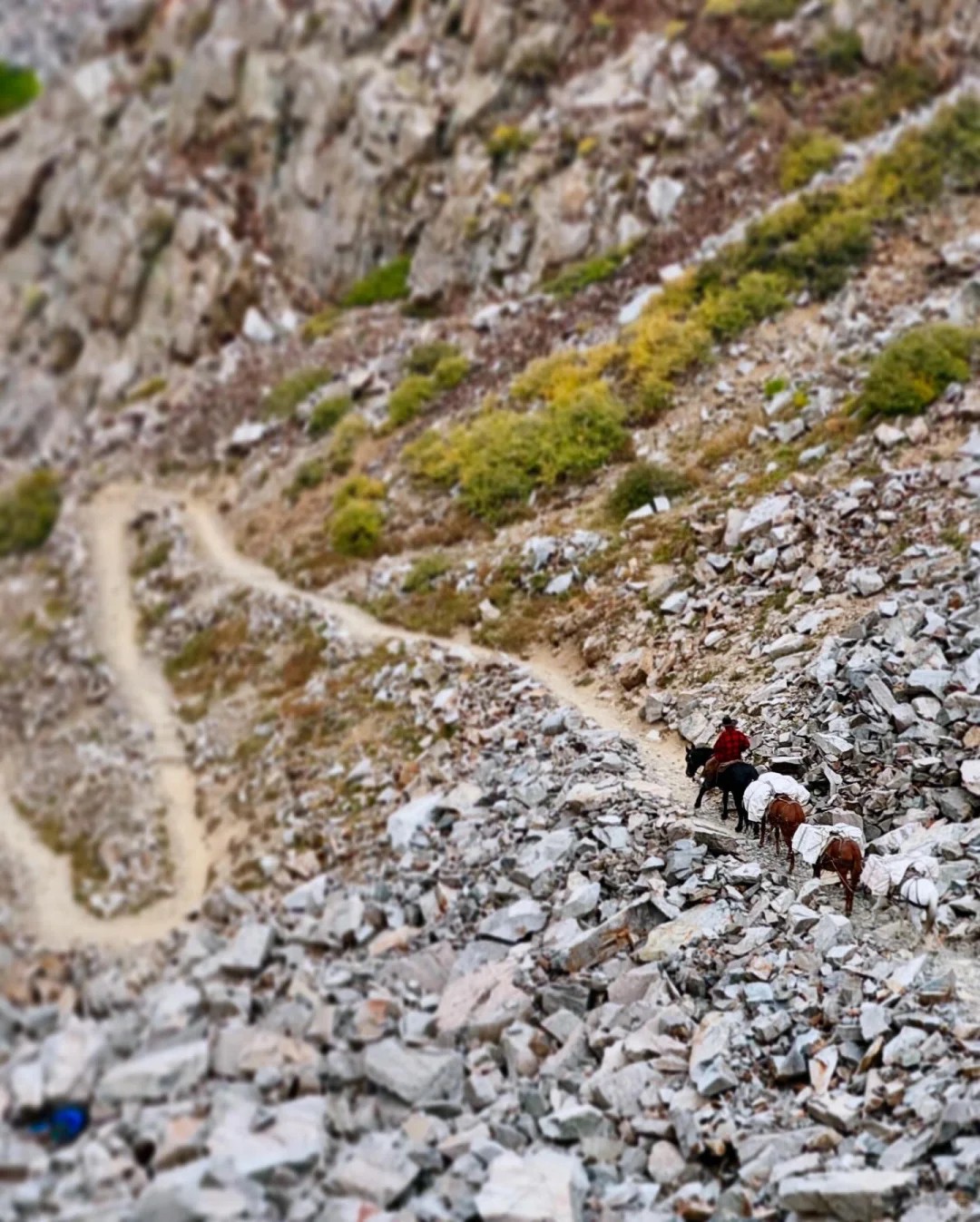 Backpacked the John Muir Trail