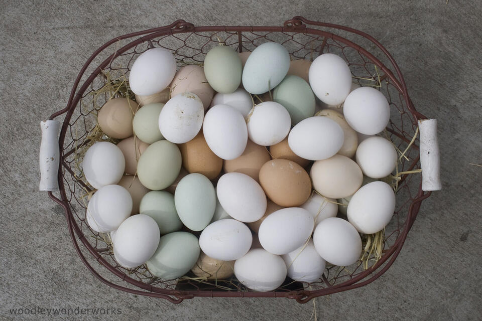 Your “Fresh” Groceries Might Be Gross