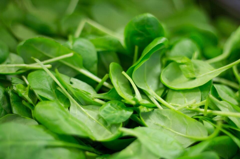 Your “Fresh” Groceries Might Be Gross