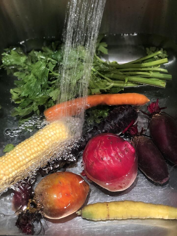 Are You Washing Your Food All Wrong?