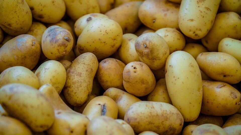 Are You Washing Your Food All Wrong?