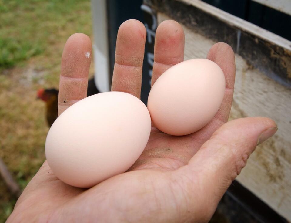Are You Washing Your Food All Wrong?