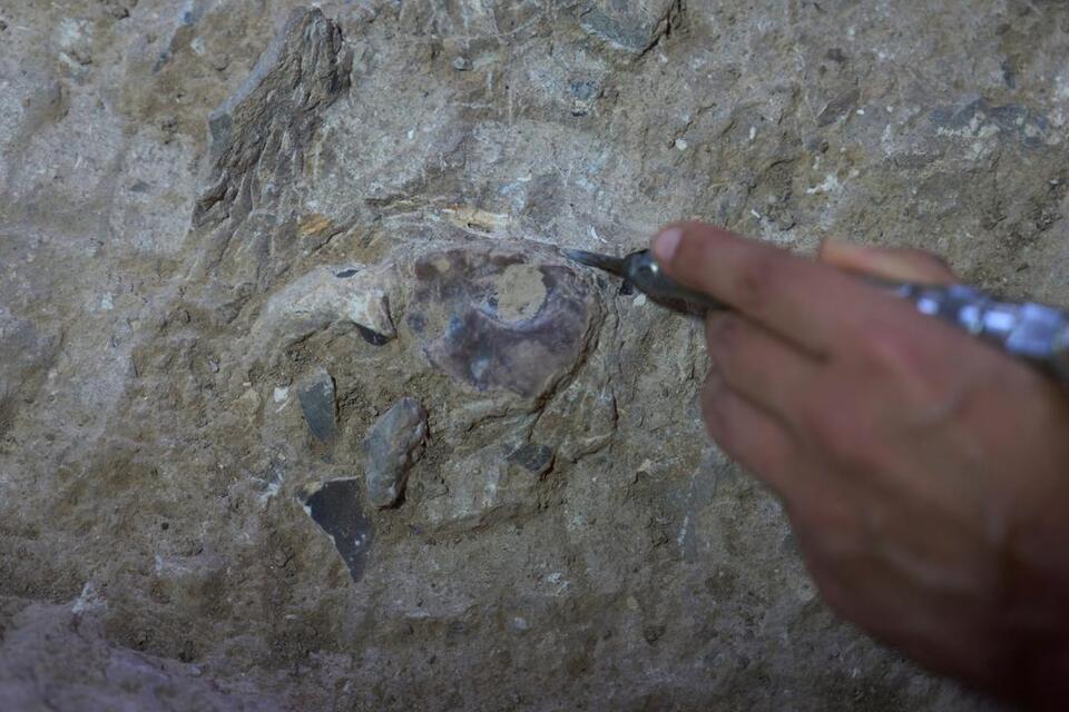 Ancient Burial Rituals Uncovered in Israel
