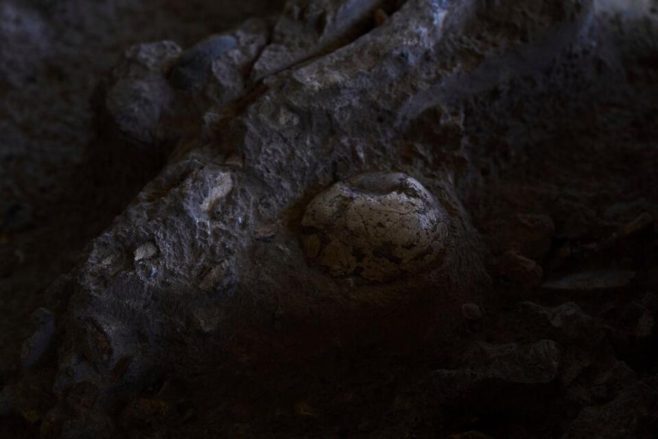 Ancient Burial Rituals Uncovered in Israel