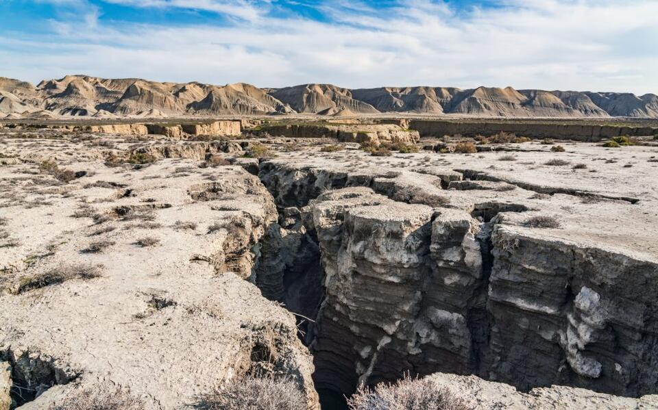 Life Thrives Where Rocks Crack!