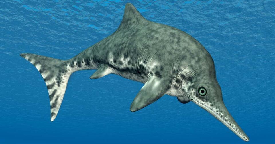 Jurassic Sea Monster Had Ninja Fins?!