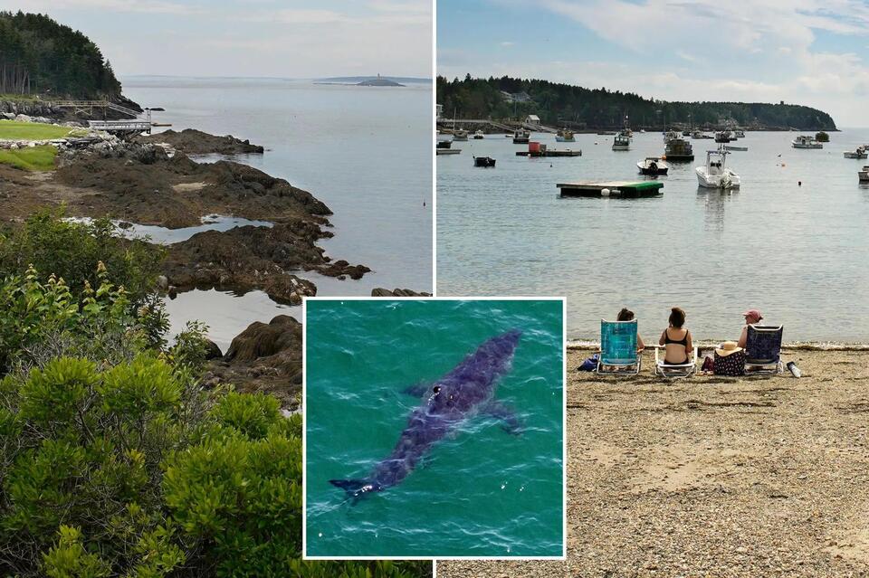 Massive Shark Spotted Near Nantucket!