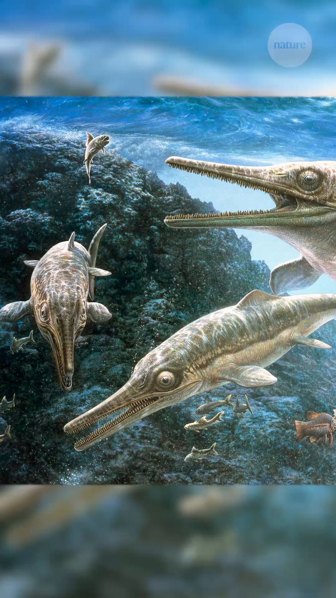 Jurassic Sea Monster Had Ninja Fins?!